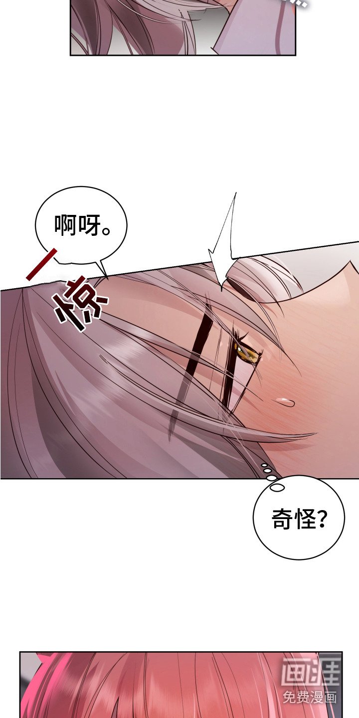 第7章：胡思乱想