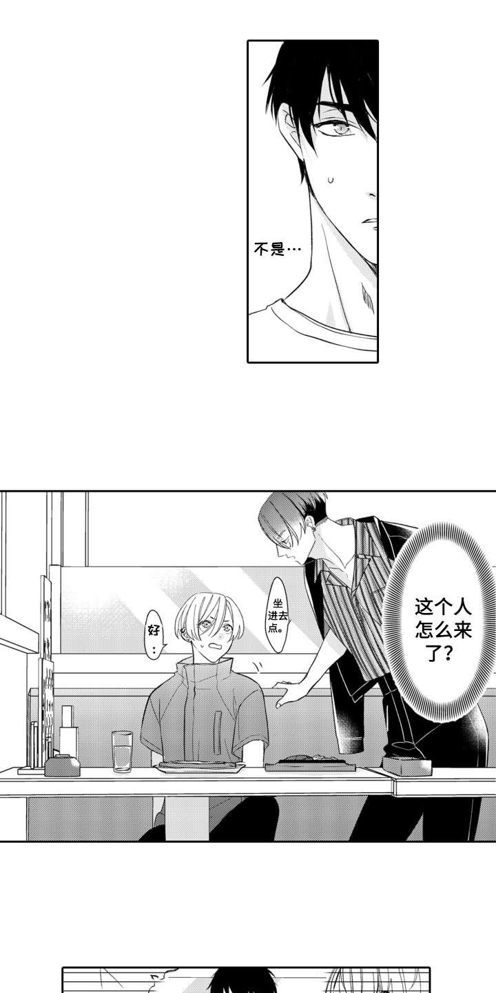 第13章：解释
