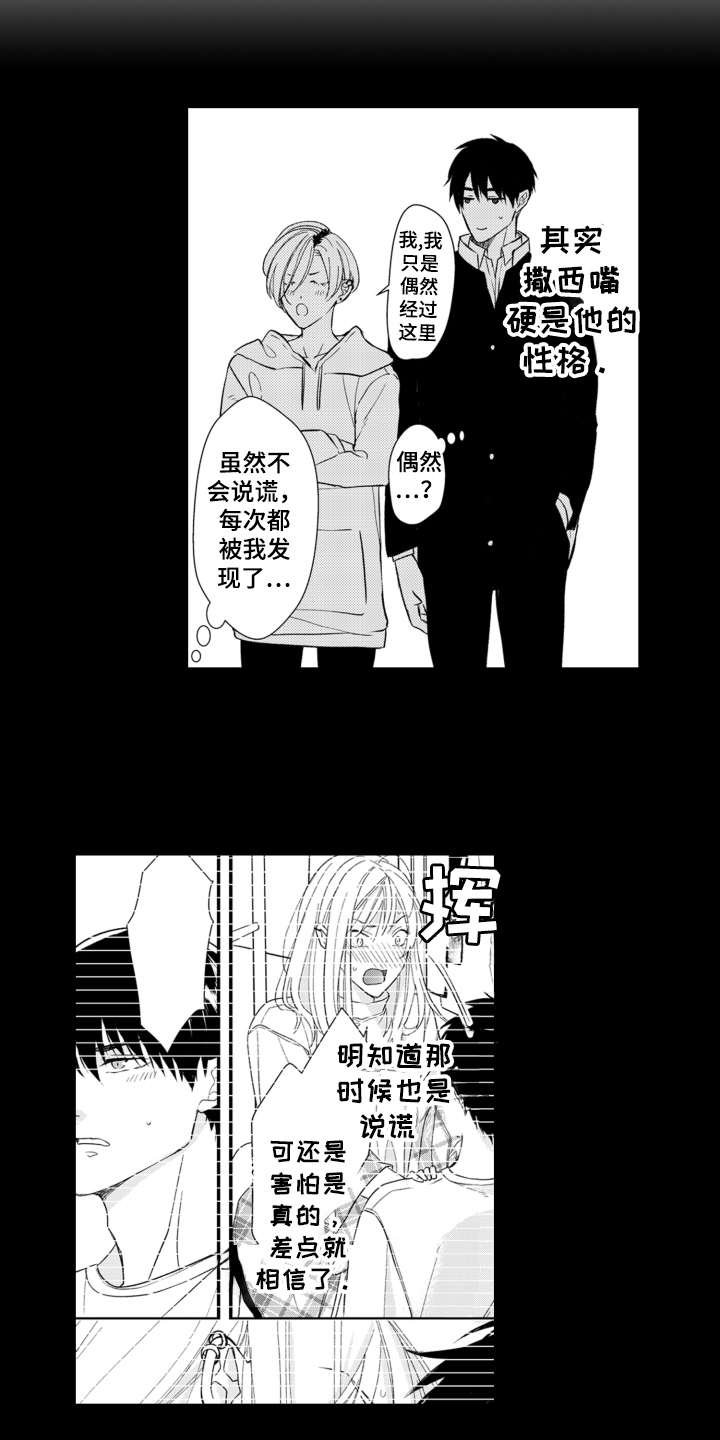 第13章：解释