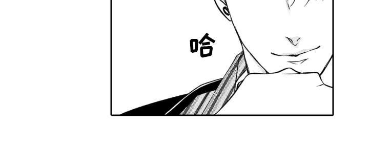 第13章：解释