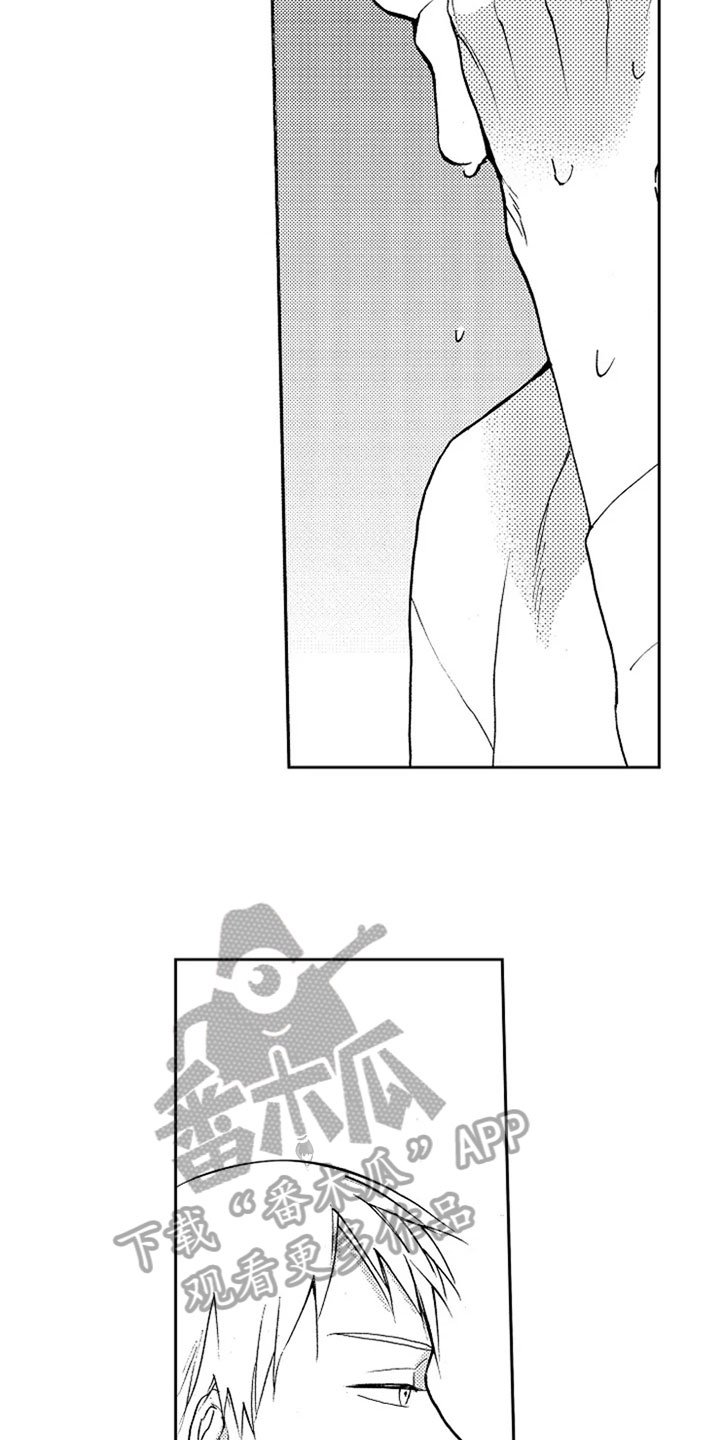 第14章：解释