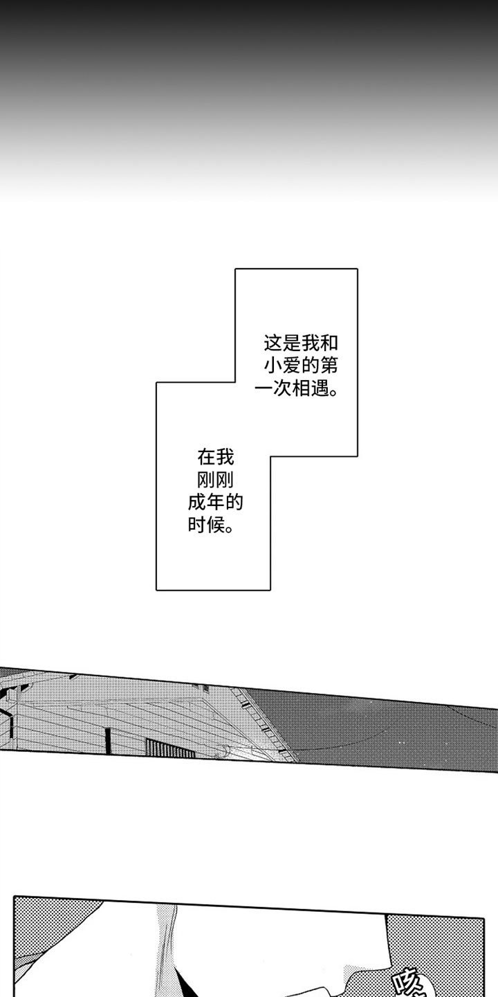 第5章：打算