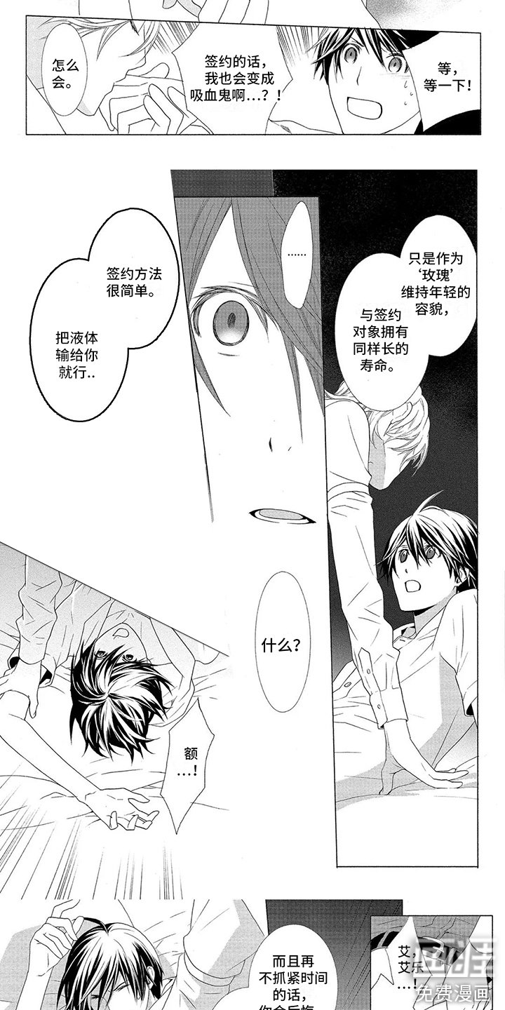 第19章：临时契约 