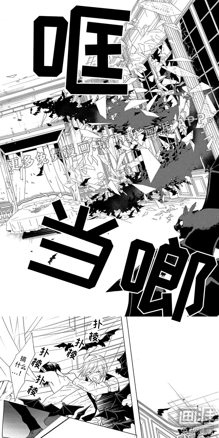 第20章：福音玫瑰