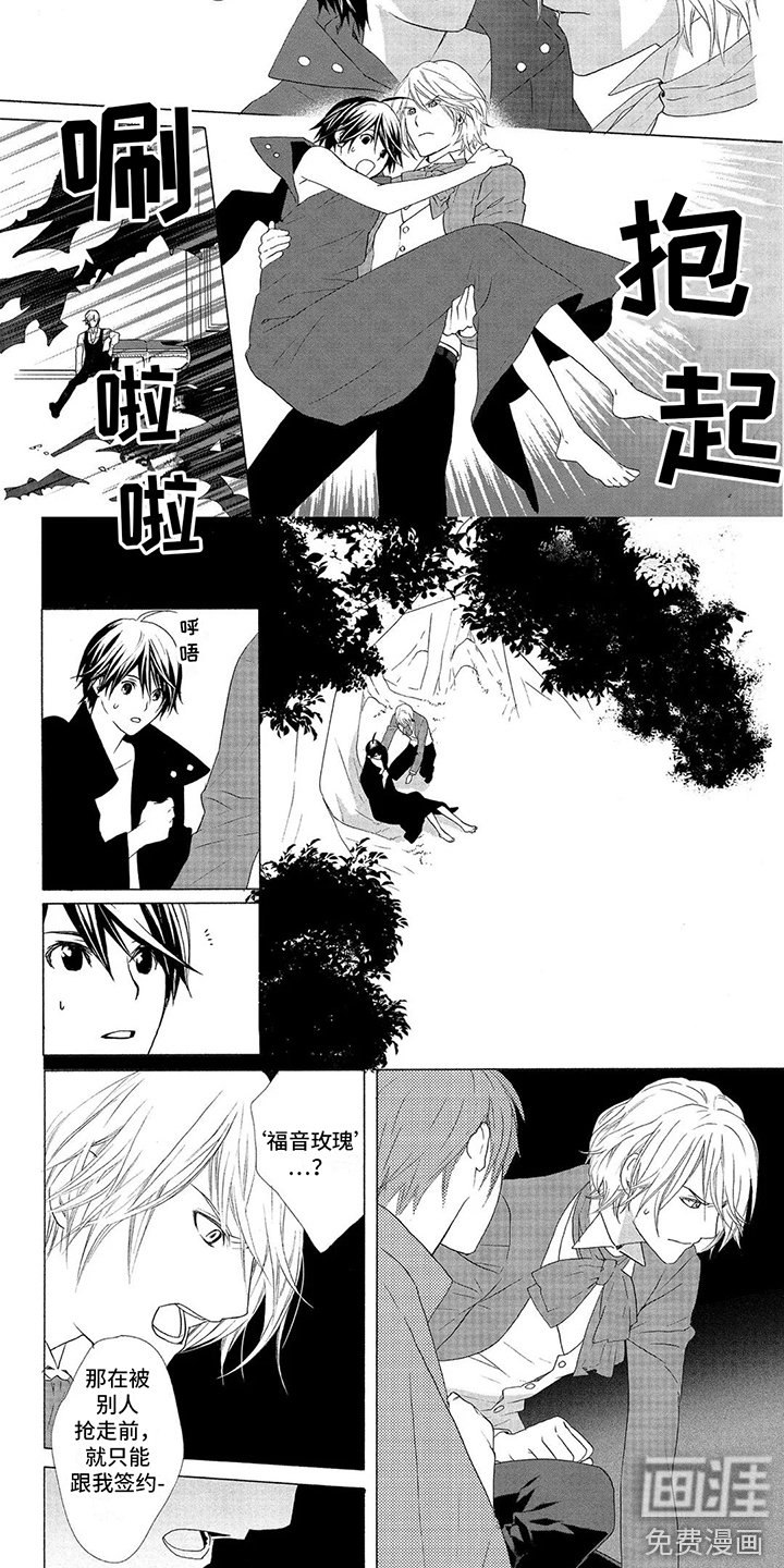 第20章：福音玫瑰