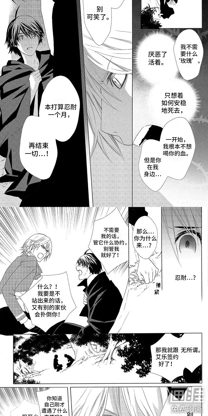 第20章：福音玫瑰