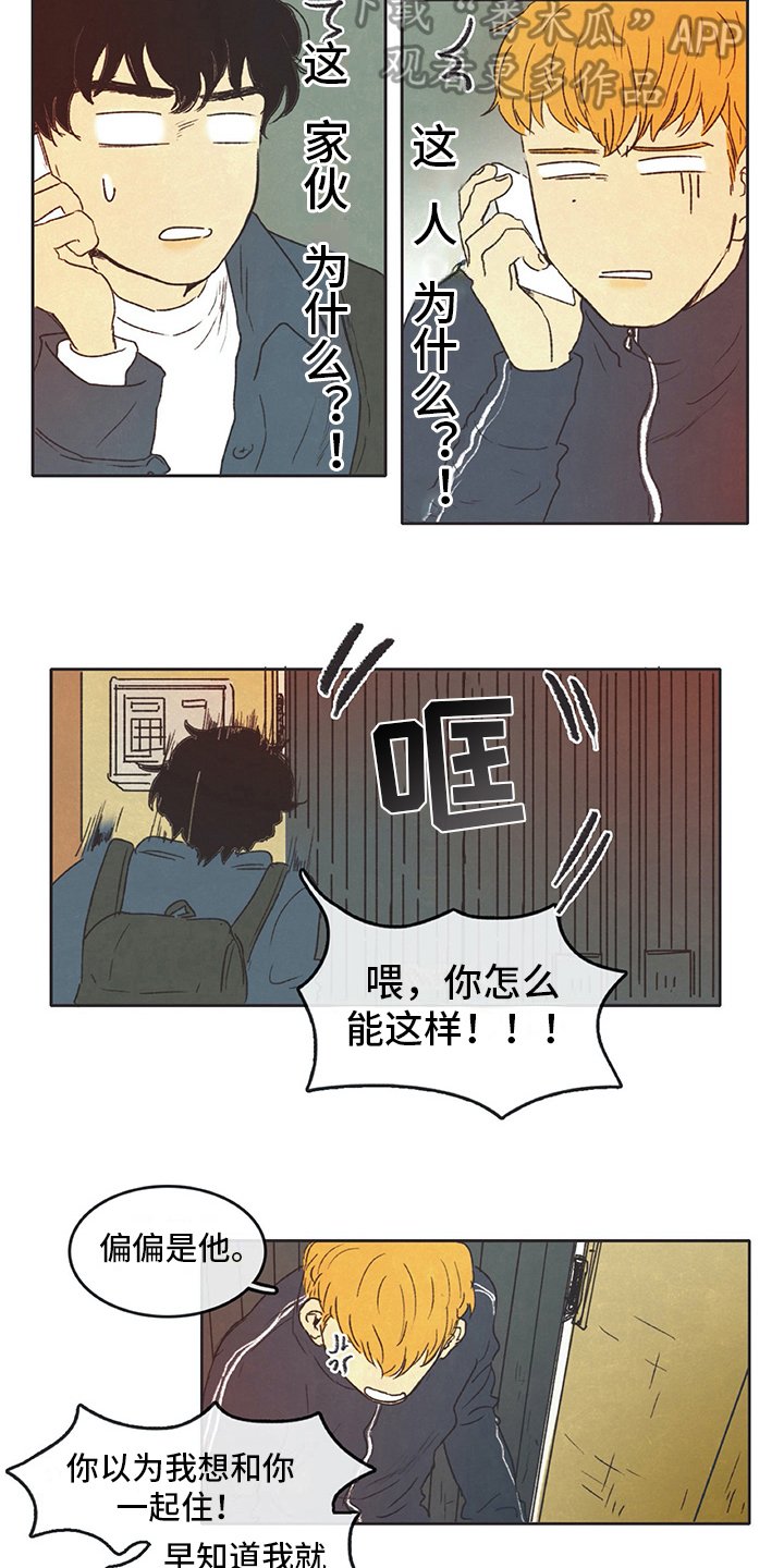 第13章：打算