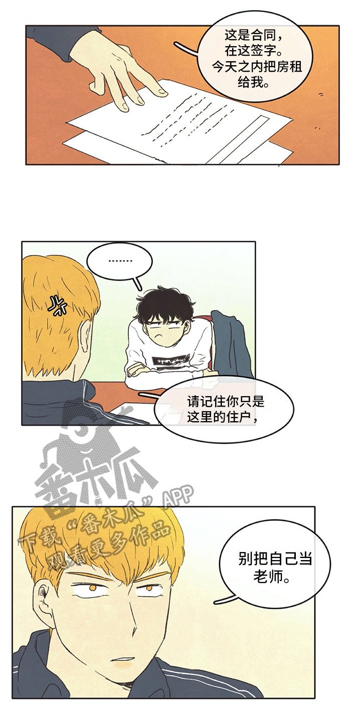 第13章：打算