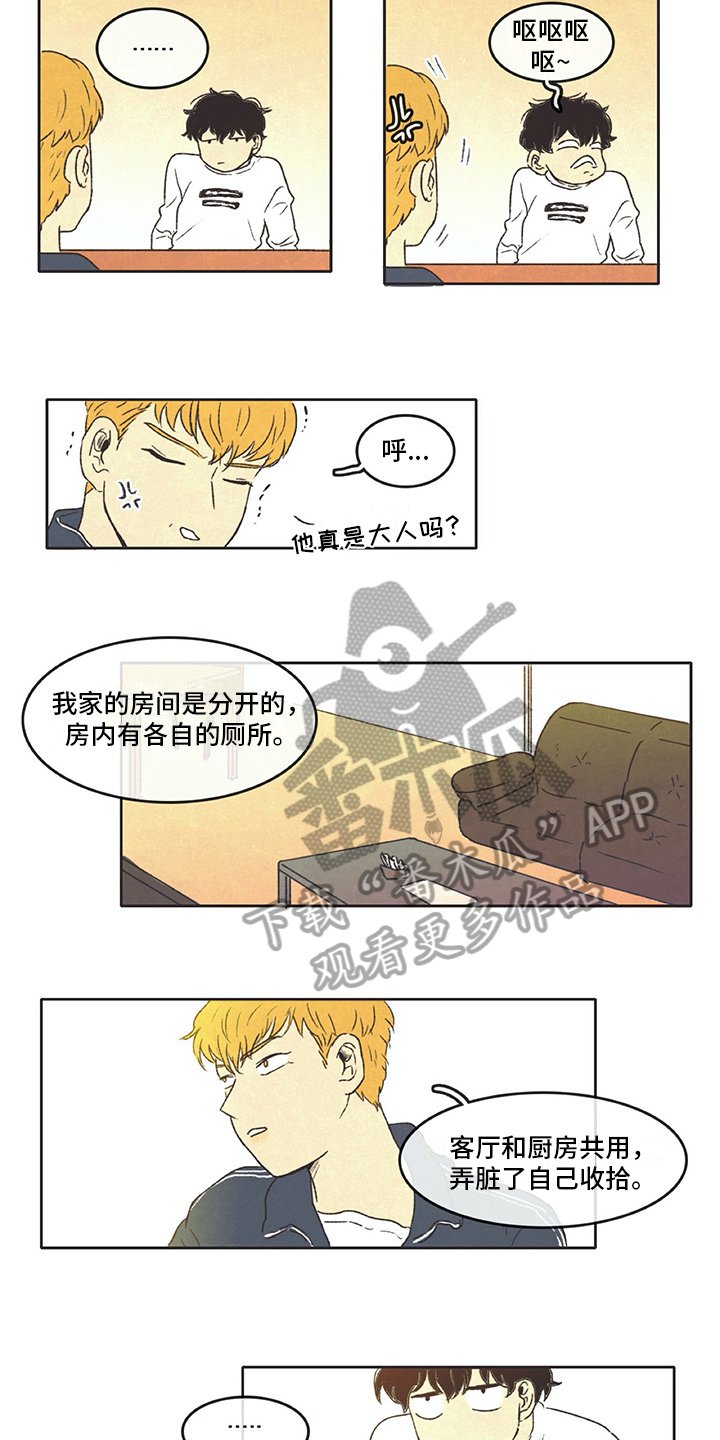 第13章：打算