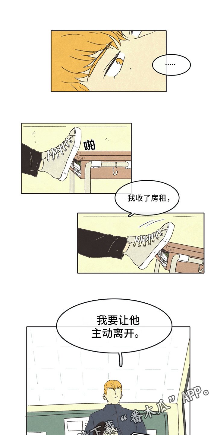 第13章：打算