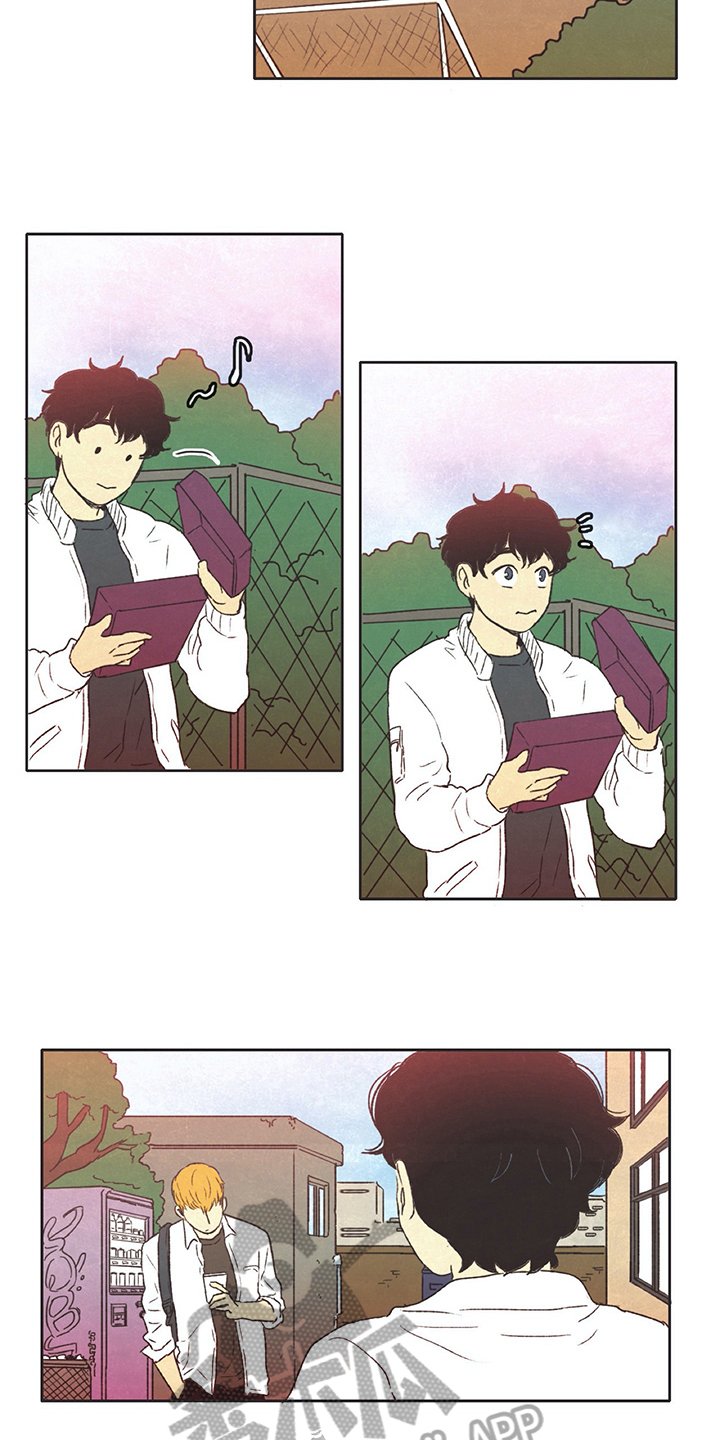 第32章：分享