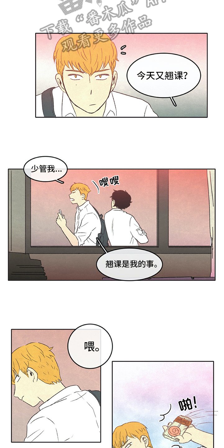 第32章：分享