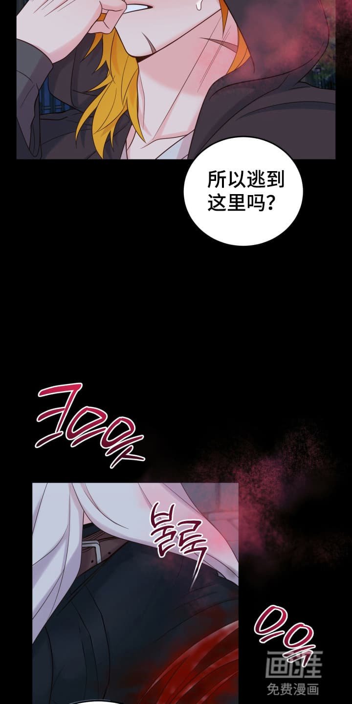 第3章：闯入者
