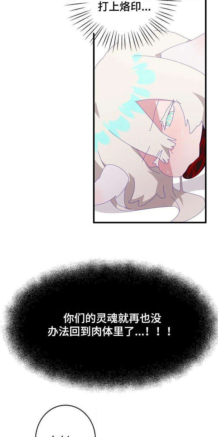 第13章：奇迹
