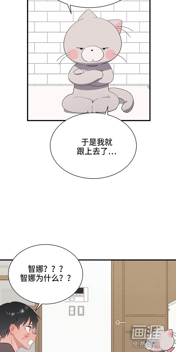 第48章：太傻了