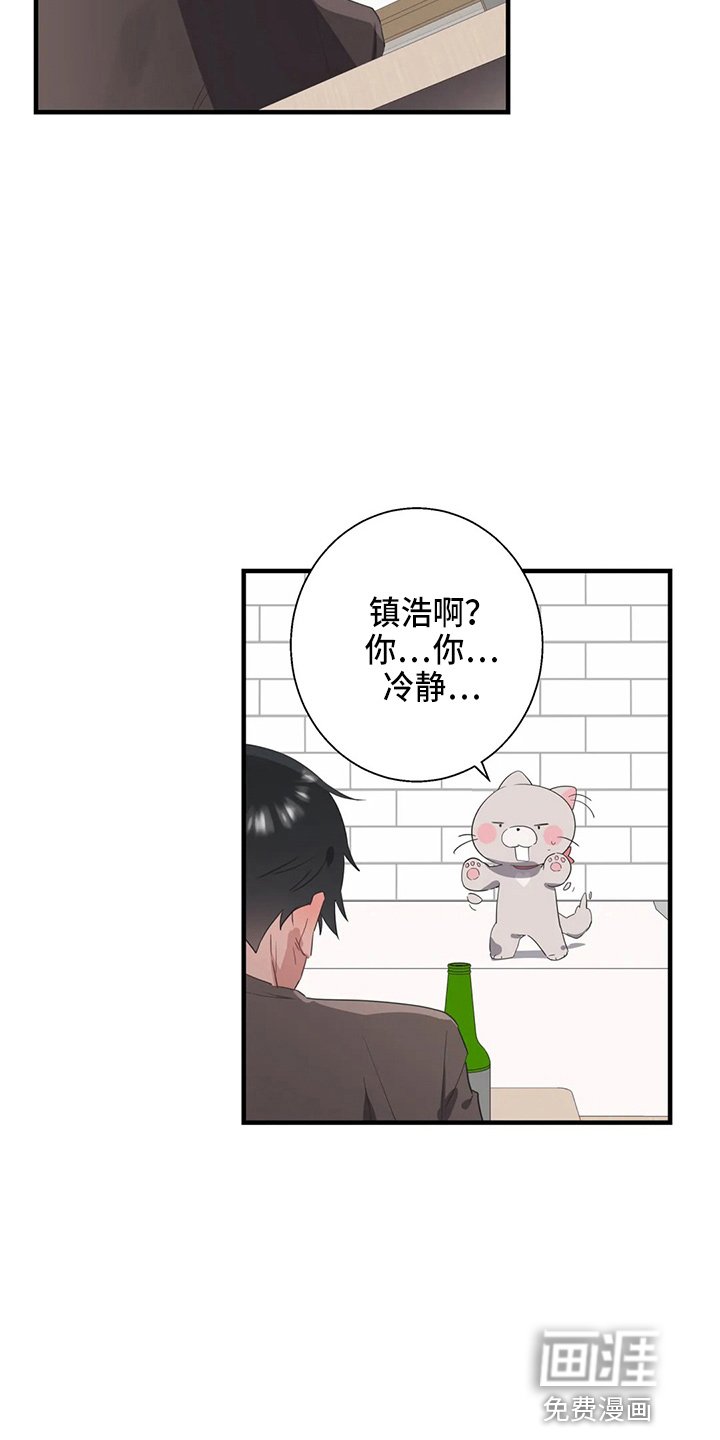 第48章：太傻了