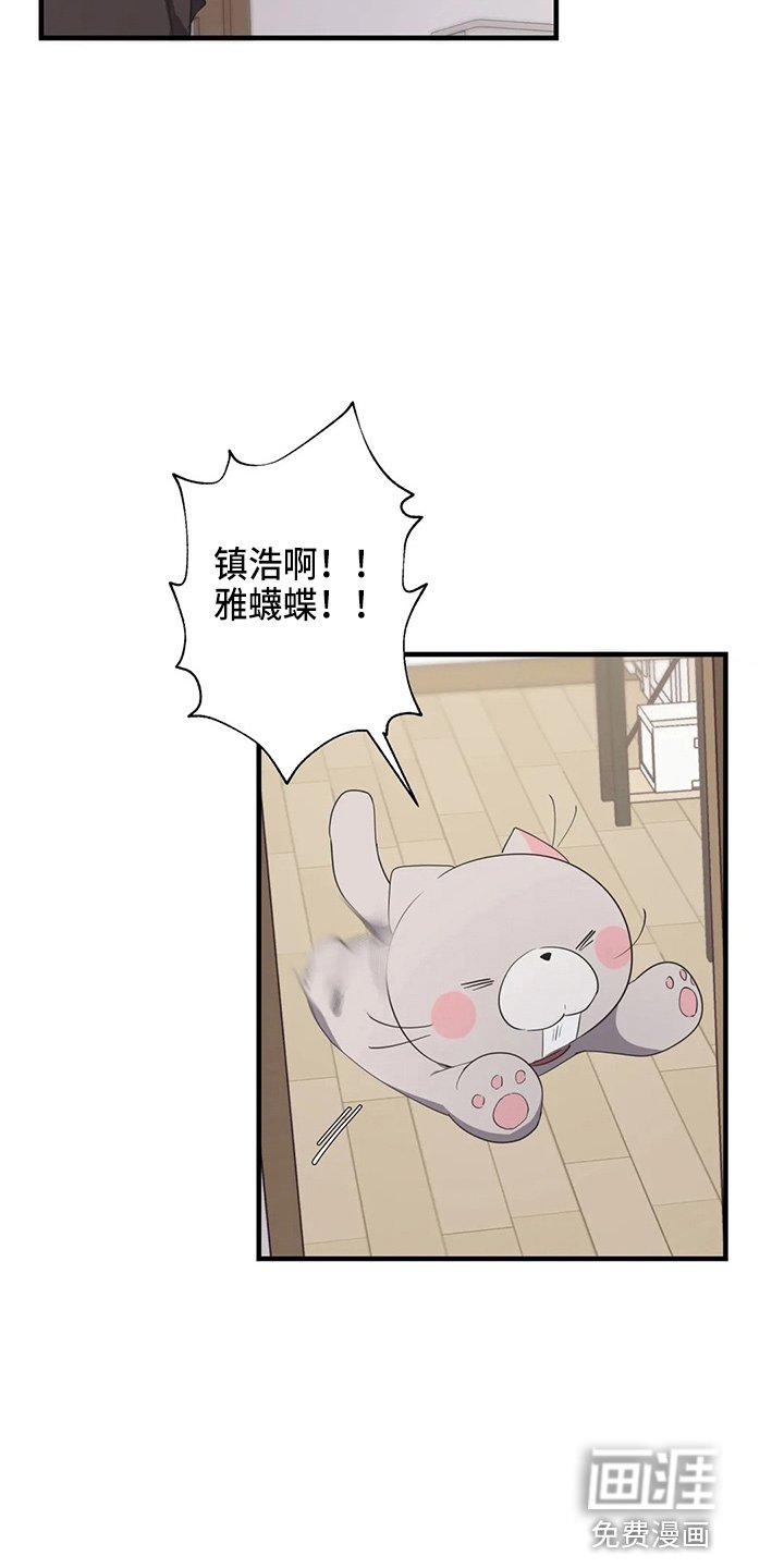 第48章：太傻了