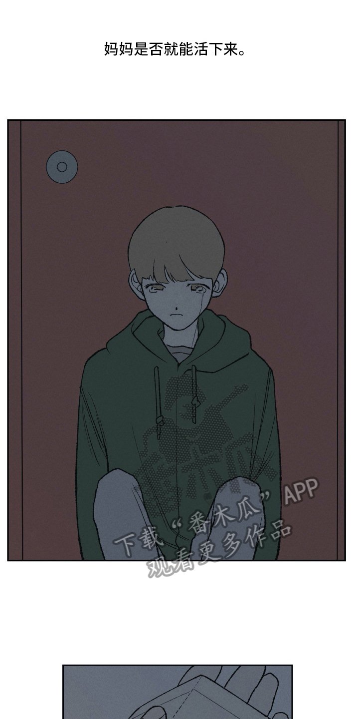 第17章：谎言