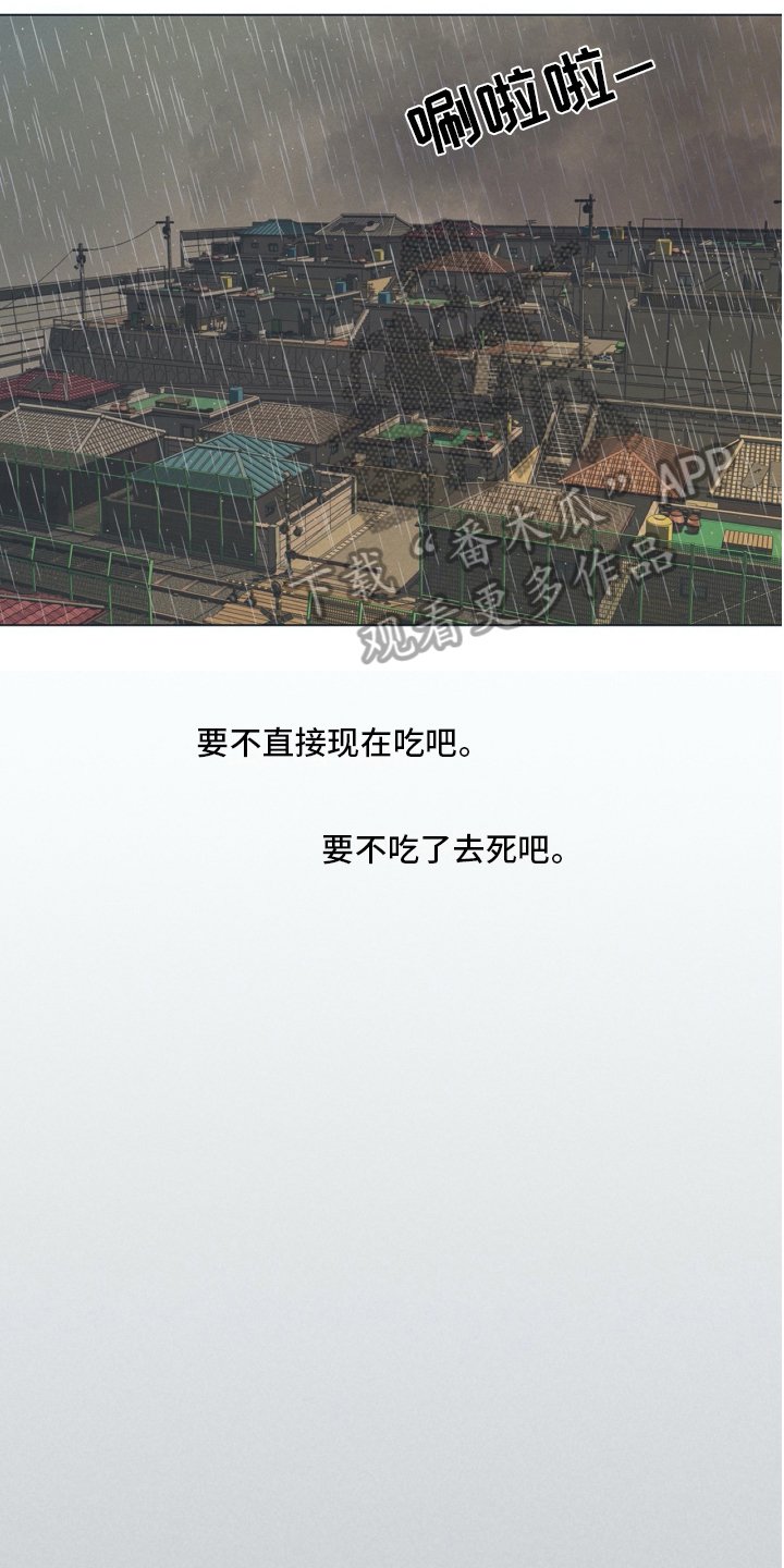 第17章：谎言
