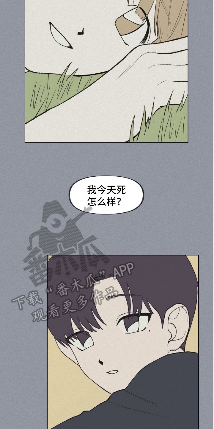 第19章：有话要说