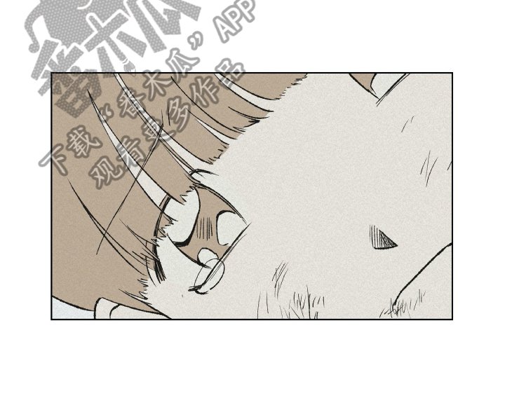 第24章：日记