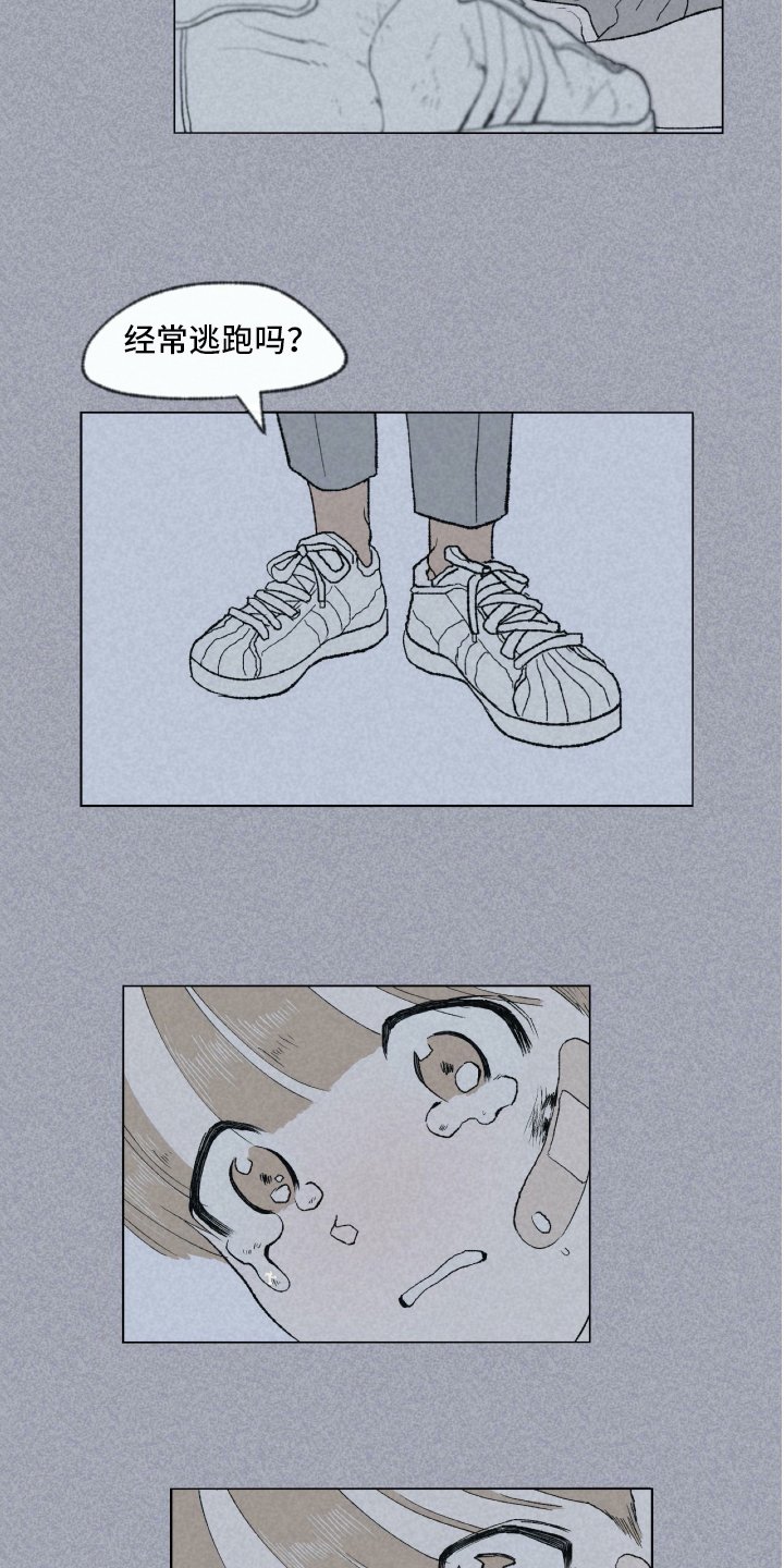 第3章：关怀