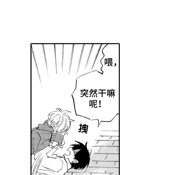第14章：有机可乘