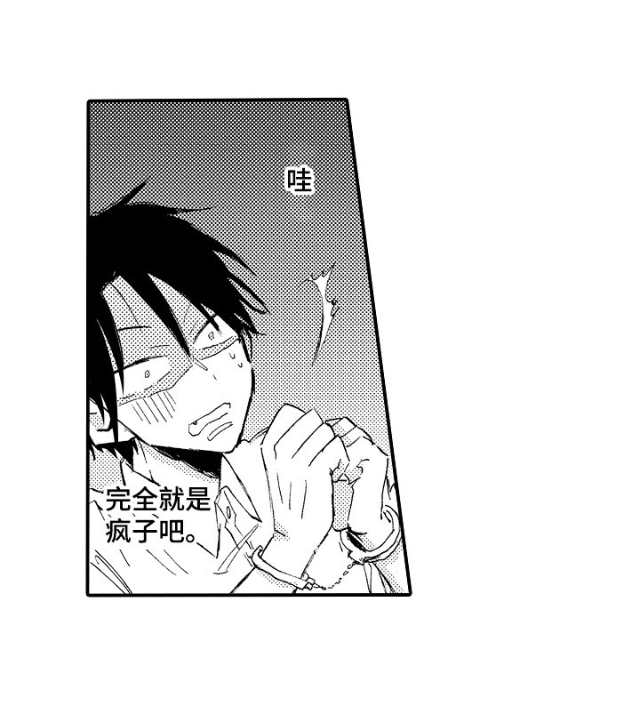 第14章：有机可乘