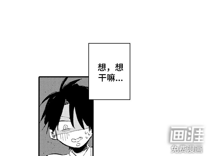 第14章：有机可乘