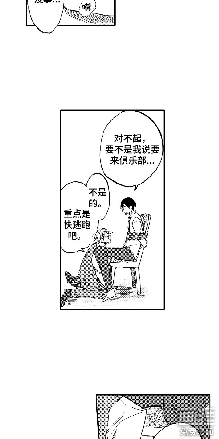 第19章：藏品
