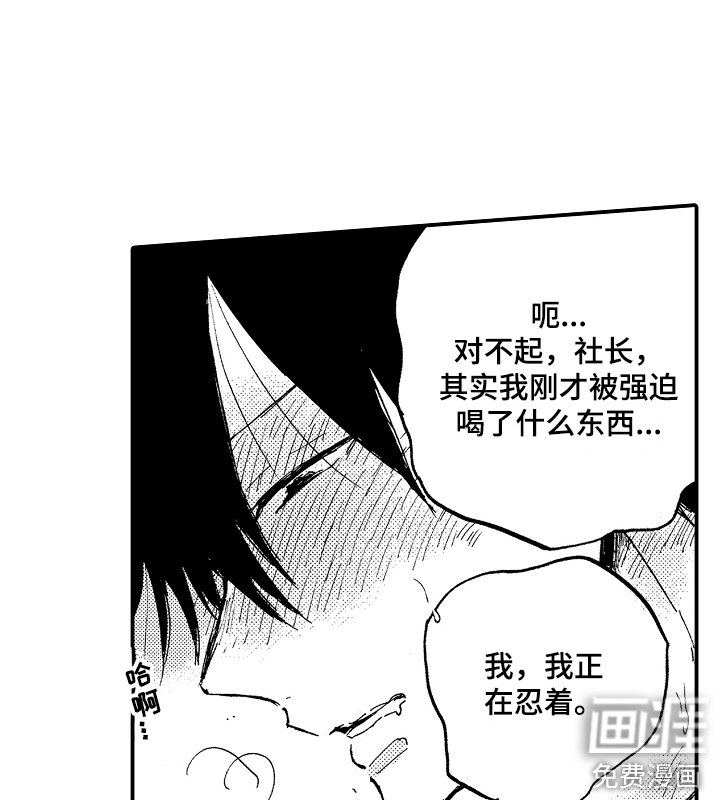 第19章：藏品