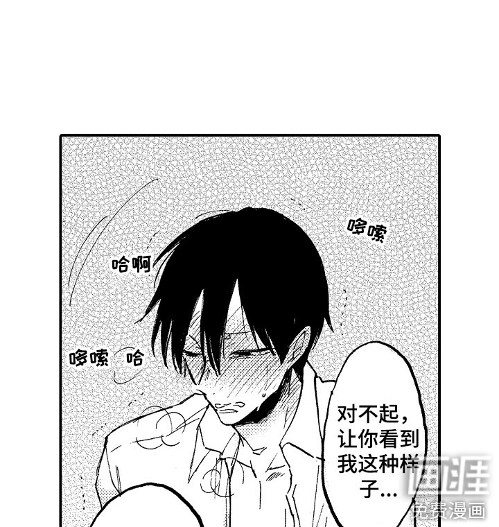 第19章：藏品
