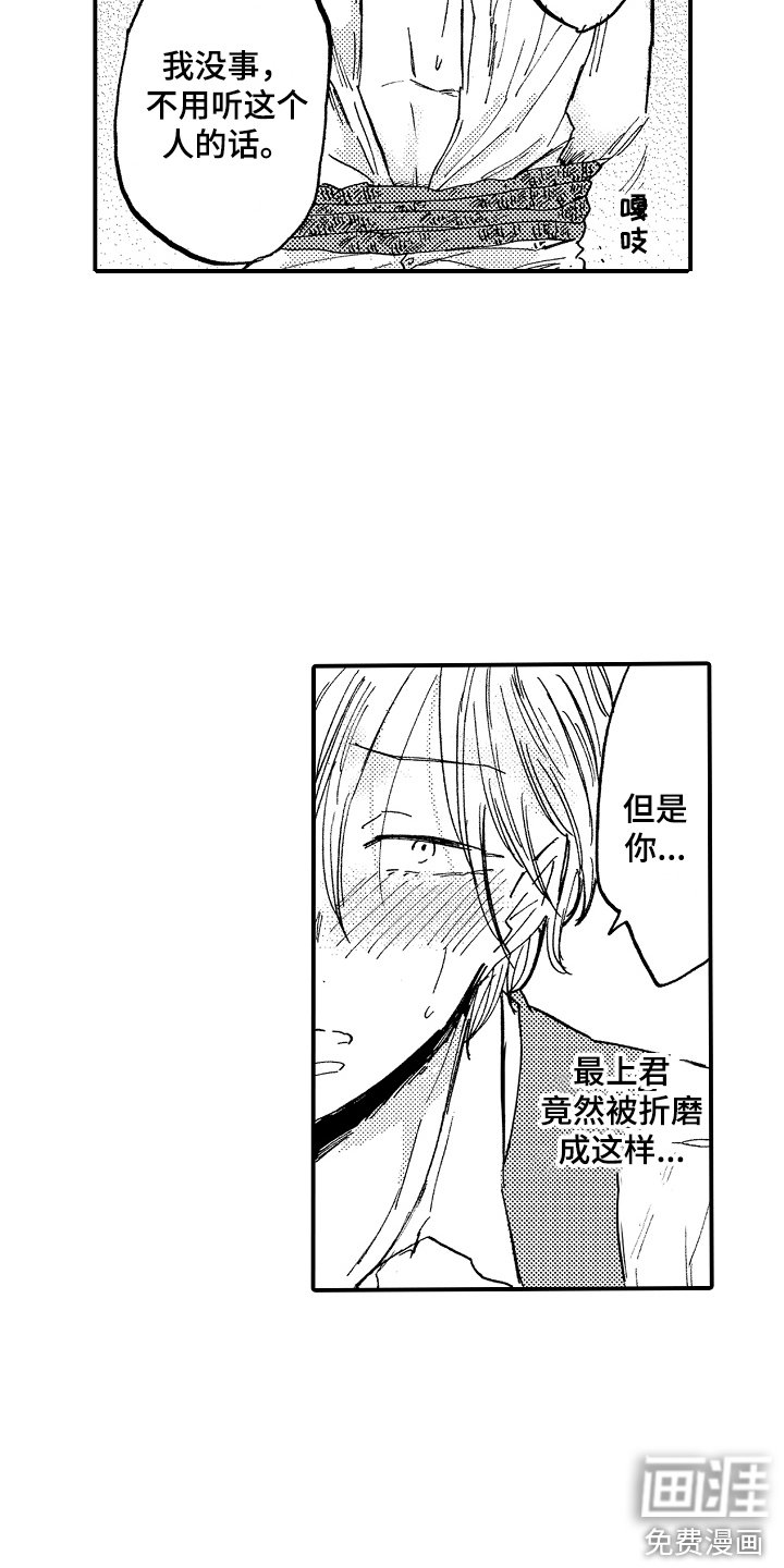第19章：藏品