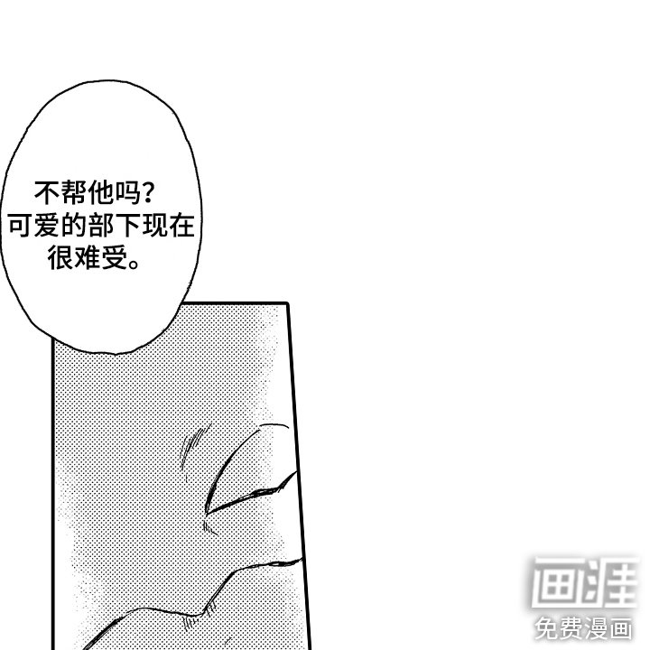 第19章：藏品