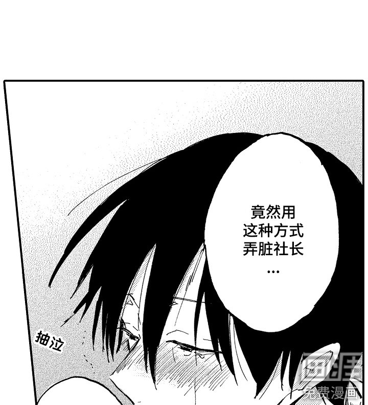 第19章：藏品