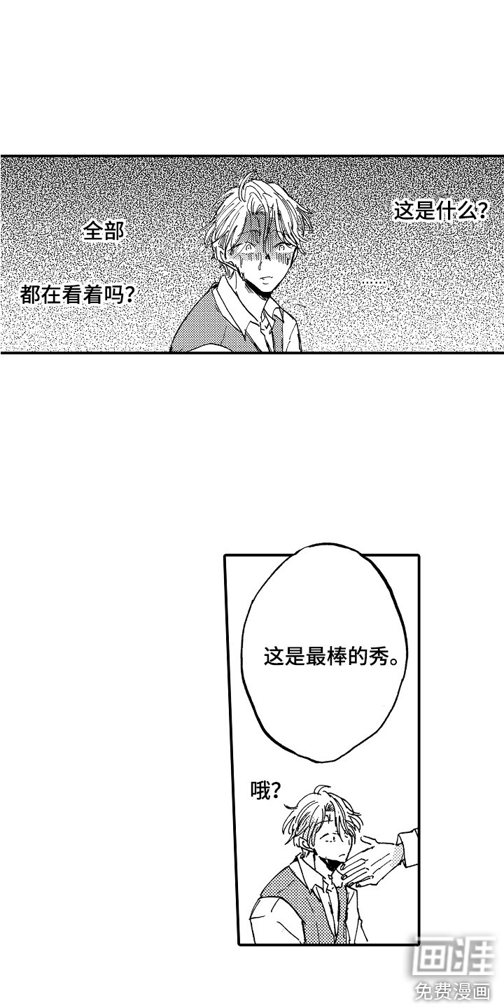 第19章：藏品