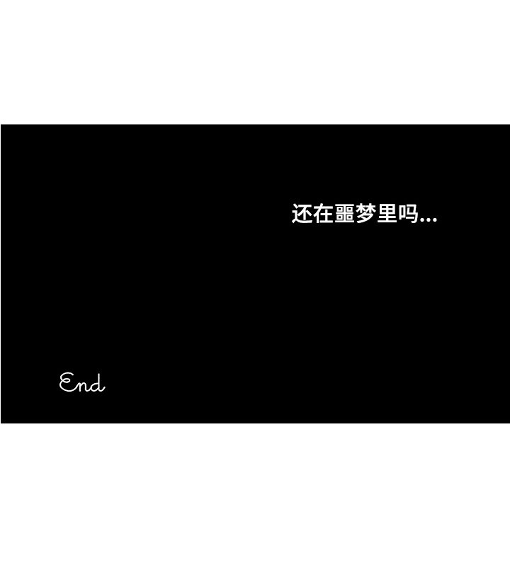 第19章：藏品