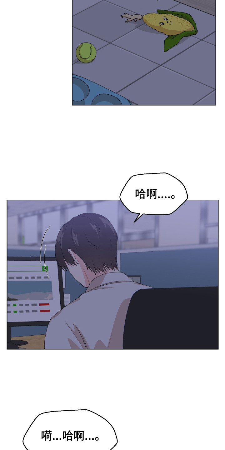 第1章：一见钟情