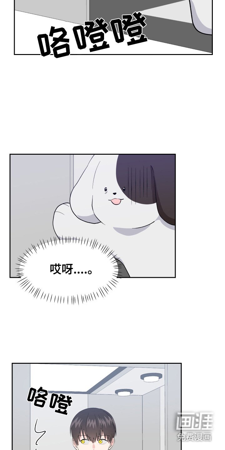 第11章：异常举动