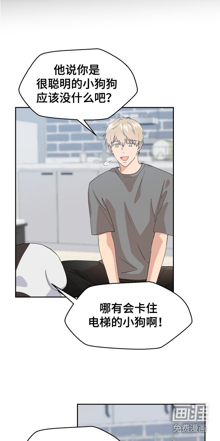 第11章：异常举动