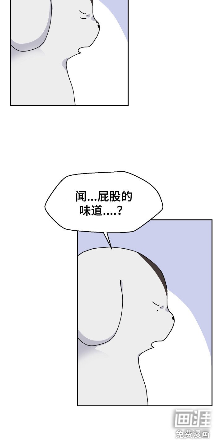 第11章：异常举动