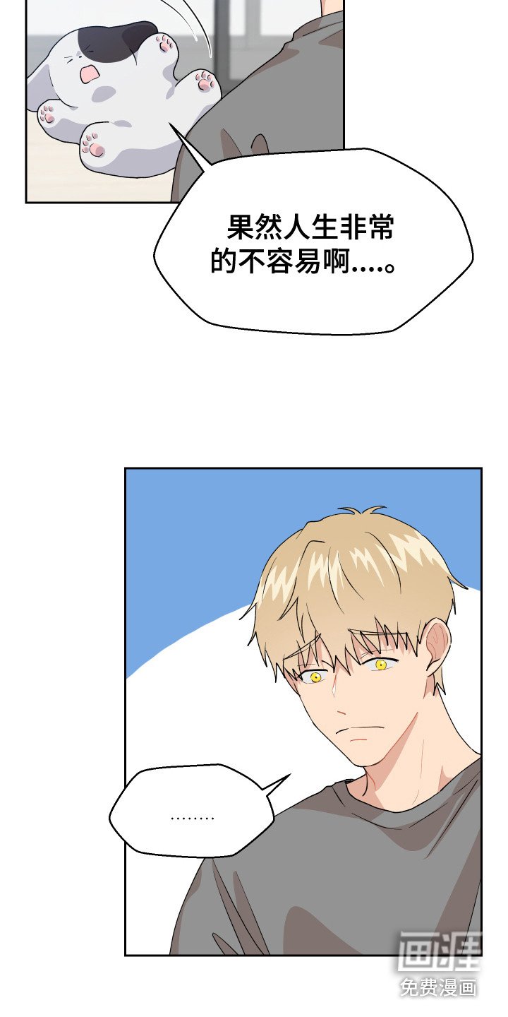 第11章：异常举动