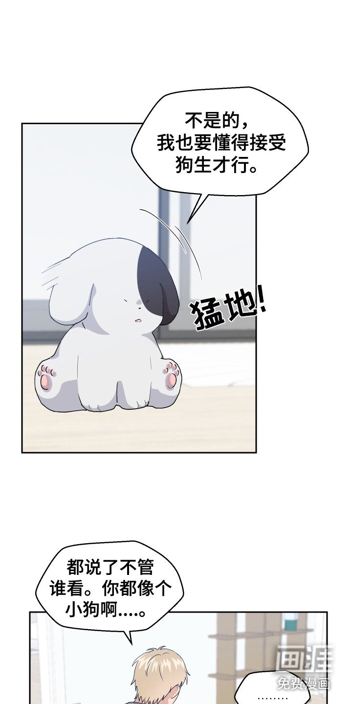 第11章：异常举动