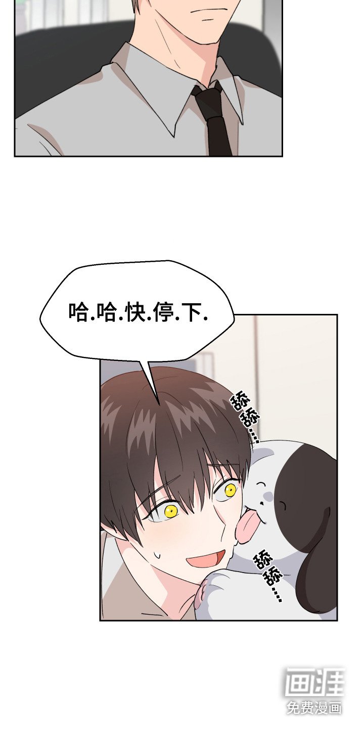第12章：烦透了