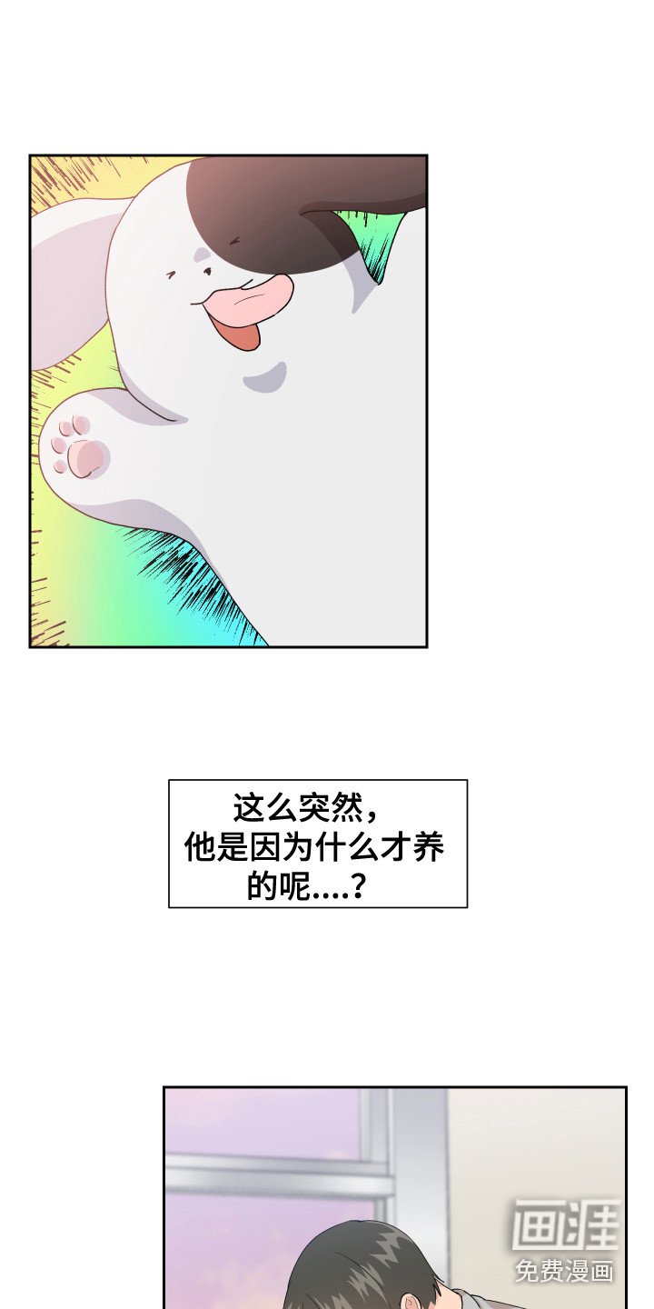 第13章：变回来了