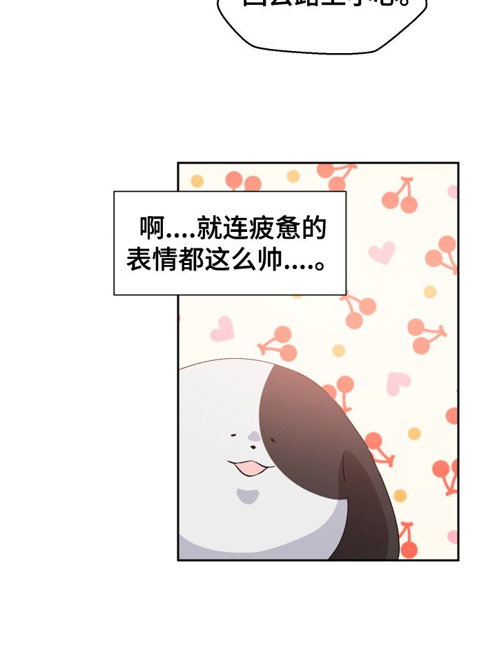 第13章：变回来了