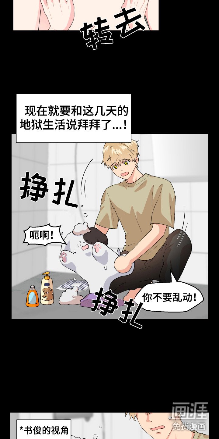 第14章：摔倒