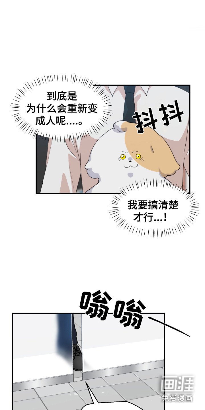 第15章：疑惑 
