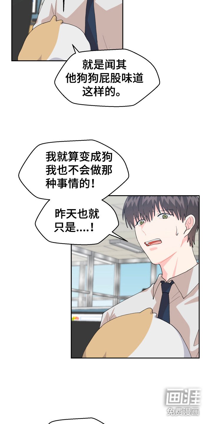 第16章：猜测