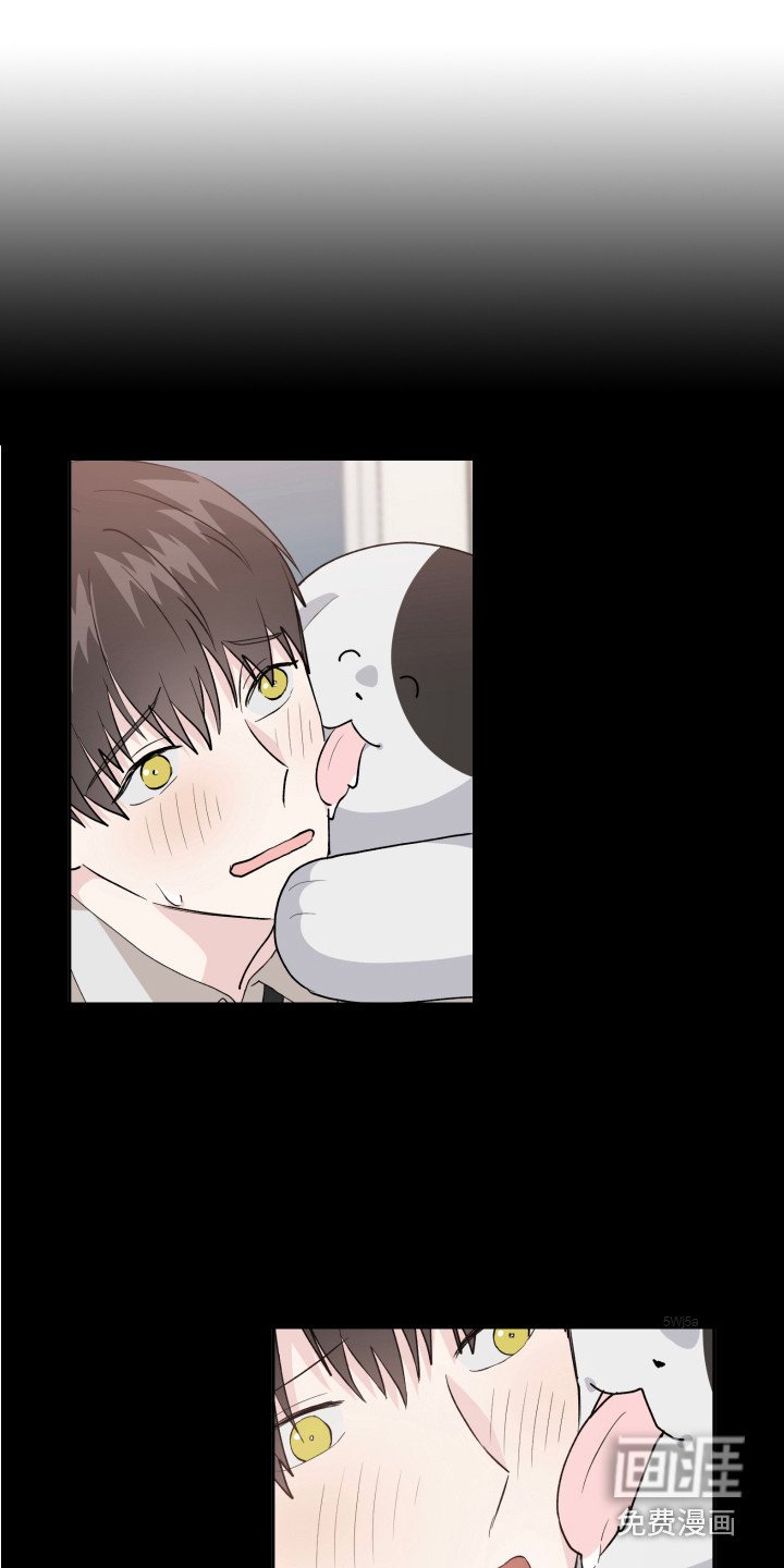 第16章：猜测
